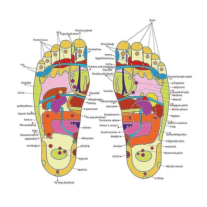Acupressure and Magnetic Therapy Accu Paduka Slippers - Image 3