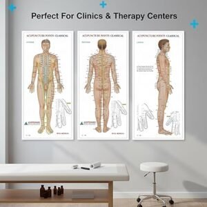 TCM Acupuncture Meridian Point Chart Set of 4,