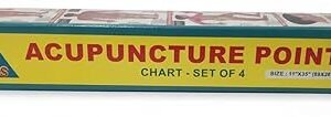 TCM Acupuncture Meridian Point Chart Set of 4,